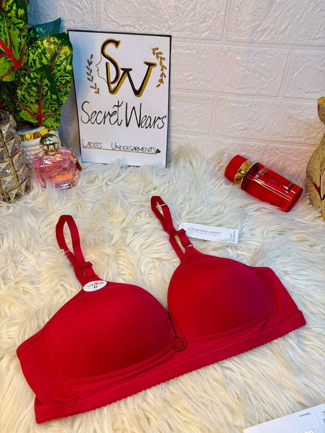 (36-42)B Full Coverage Thin Pad T-Shirt Bra (144)