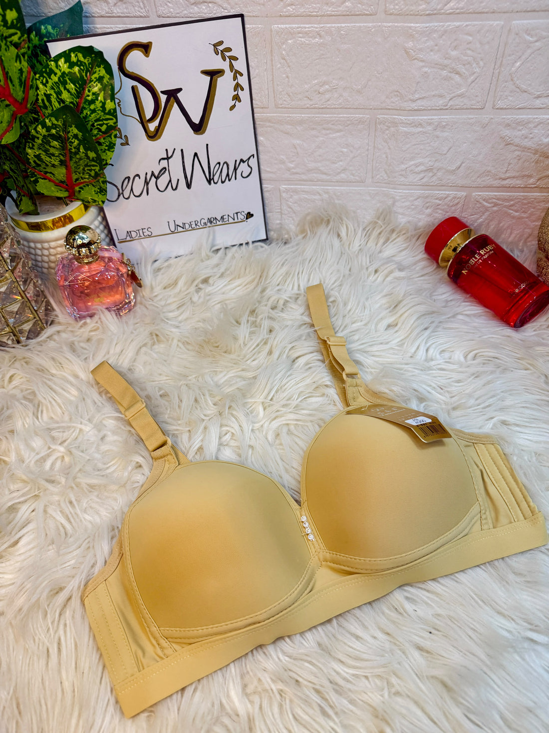 Secret Wears Women's Padded T-Shirt Bra –