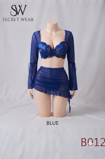 Elegant 2-Piece Sheer Lace Bra, Skirt, and Sleeve Lounge Set (Model: B012)